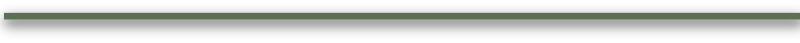 wp13b7f388.png